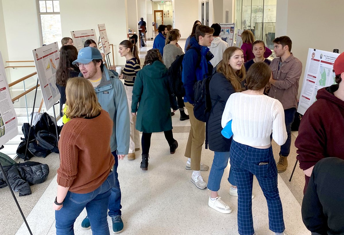 A group of students surround posters that are resting on easels. Some students are speaking to the others explaining what is on their posters. 